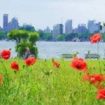 Kralingseplas 2 Kralingseplas 2