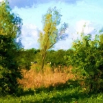 Landschap met koeien Landschap met koeien