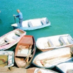 Bijbootjes Bijbootjes