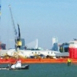 Waalhaven met zwaan Waalhaven met zwaan