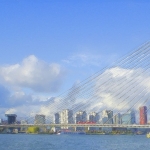 Zwaan Zwaan
