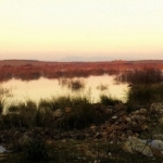Avondrood Avondrood