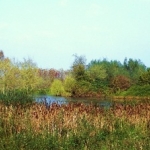Biesbosch Biesbosch