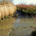 Rhoonse Grienden Rhoonse Grienden