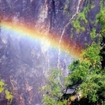 Regenboog Regenboog