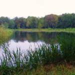 Viswater Viswater