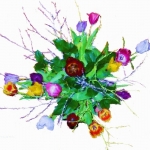 tulpen tulpen