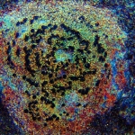 Fungus1 Fungus1