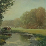 Paarden in het weiland. Paarden in het weiland.