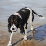 Zeehond 1 Zeehond 1