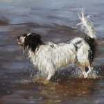 Zeehond 2 Zeehond 2
