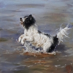 Zeehond 3 Zeehond 3