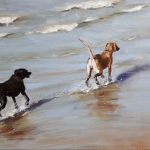 twee zeehonden twee zeehonden