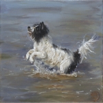 Zeehond Zeehond
