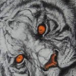Tiger tiger burning bright........ Tiger tiger burning bright........