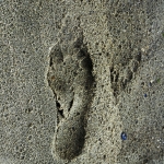 Footstep Footstep