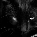 Black Magic Black Magic