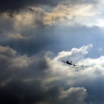 Fly Away Fly Away