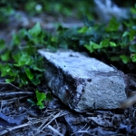 Bluestone Bluestone