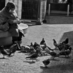 Feed The Birds Feed The Birds