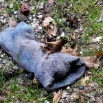 Lost Socks Lost Socks
