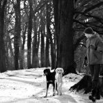 On A Winters Day On A Winters Day