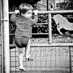 Little Daredevil Little Daredevil