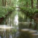 Natuurlijke rust Natuurlijke rust