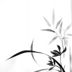 Orchidee en bamboe Orchidee en bamboe
