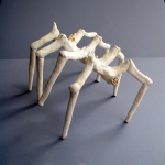 Sparassidae Sparassidae