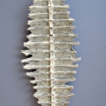 2012-12/05 2012-12/05