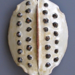 2012-12/02 2012-12/02