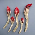 Capsicum with Stem Capsicum with Stem
