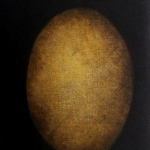 ovum ovum