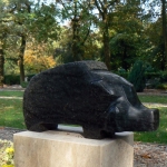 Everzwijn Everzwijn