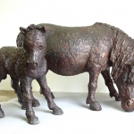 Paarden Paarden