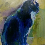 sammie / blauwe kat sammie / blauwe kat
