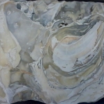 Oesterschelp Oesterschelp