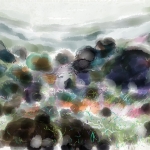 Aquarel Aquarel