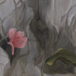 Magnolia 2 Magnolia 2