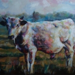 stier stier