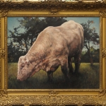 De stier van St.Jean De stier van St.Jean