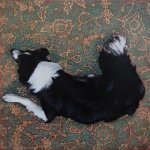 The Dog and His Carpet The Dog and His Carpet