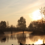 Visvijver in Gemert Visvijver in Gemert