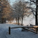 Winterlandschap Winterlandschap