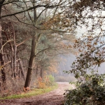 Herfst Herfst