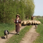 Historische optocht Historische optocht