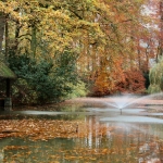 Herfstkleuren Herfstkleuren