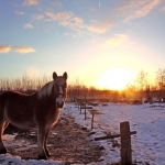 Zonsondergang in het Karrenspoor. Zonsondergang in het Karrenspoor.