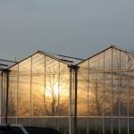 Weerspiegeling Weerspiegeling